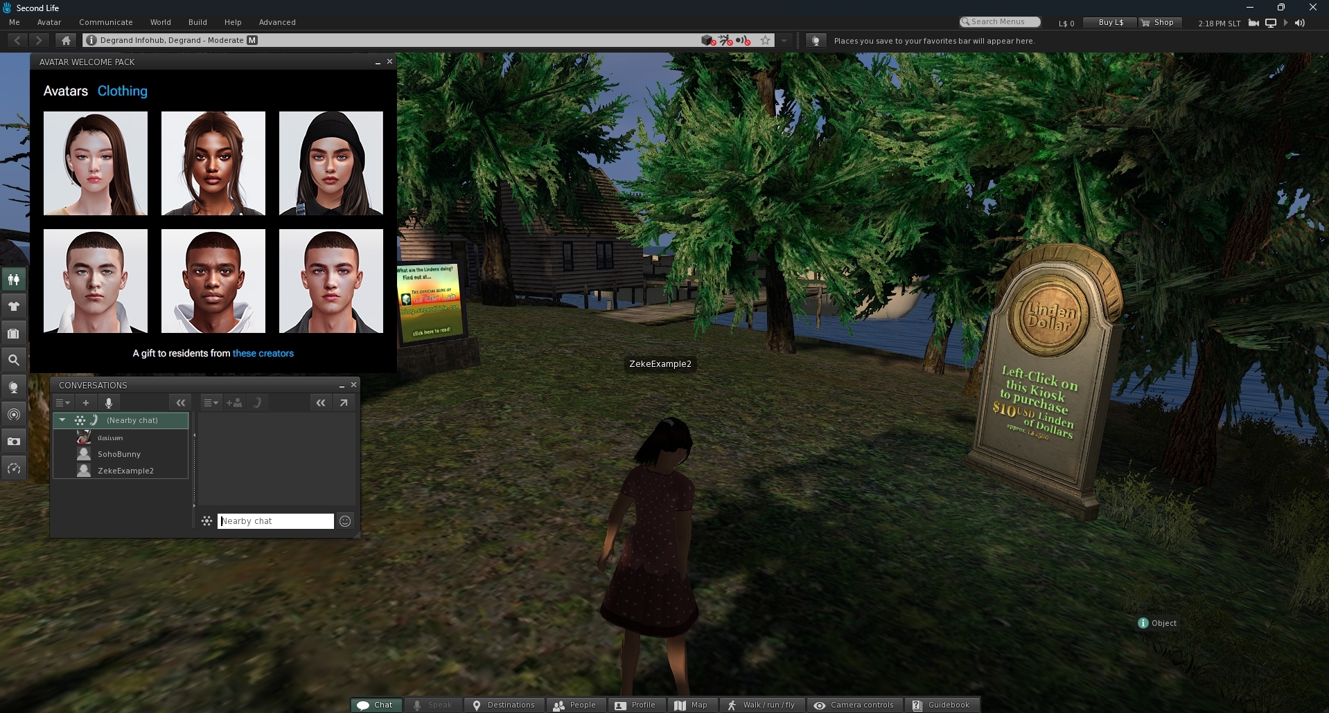 Choosing Your Avatar in SL Viewer